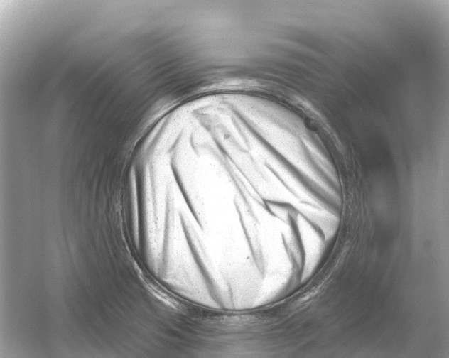 X0000053021425200508051215