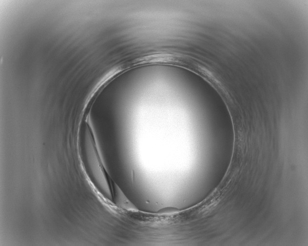 X0000053021426200508051215