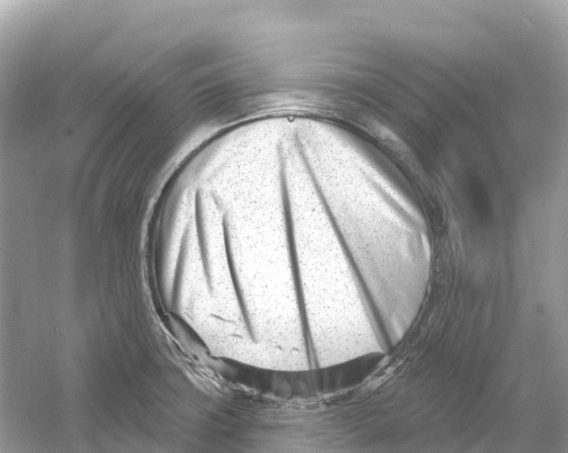 X0000053021427200508051215