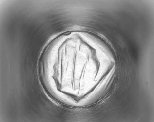 X0000053021429200508051215