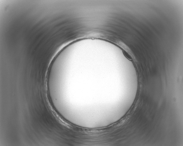 X0000053021436200508051215