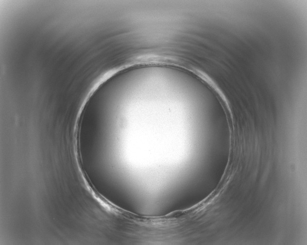 X0000053021437200508051215