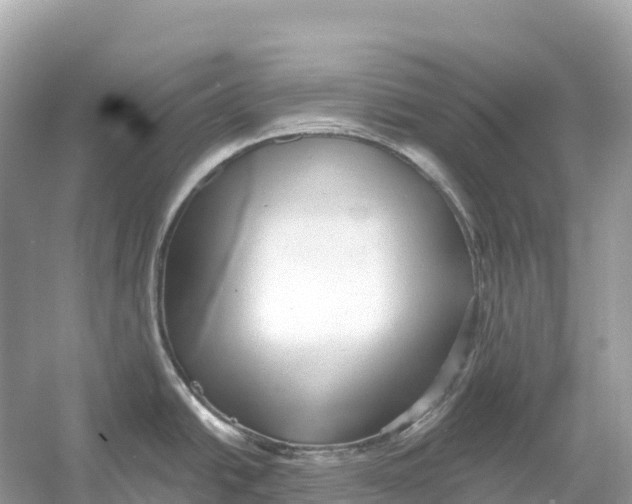 X0000053021438200508051215