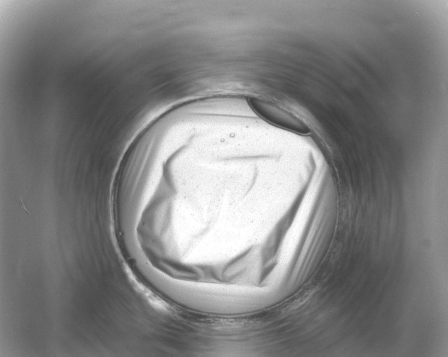 X0000053021439200508051215