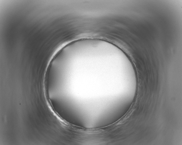 X0000053021440200508051215