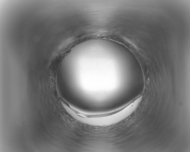 X0000053021447200508051214