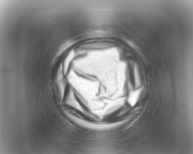 X0000053021453200508051214