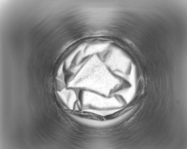 X0000053021457200508051214