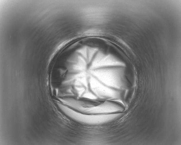 X0000053021461200508051214