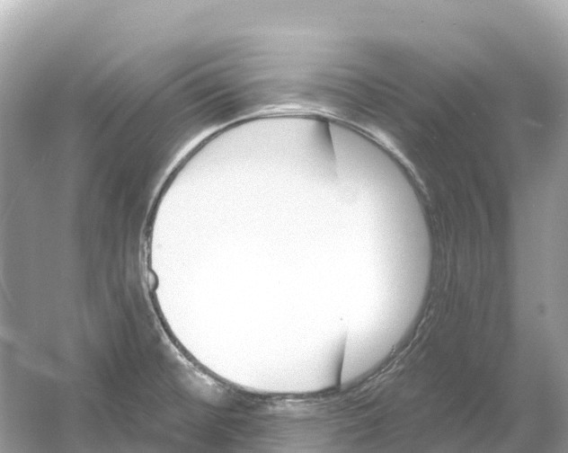 X0000053021476200508051214