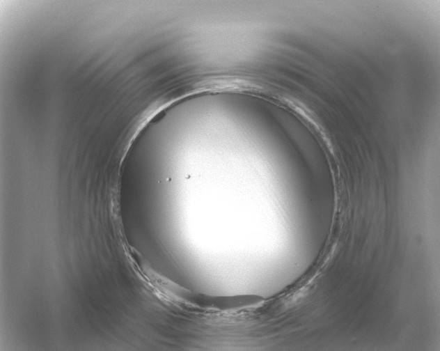 X0000053021481200508051213