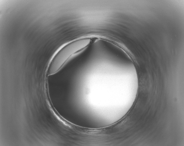X0000053021484200508051213