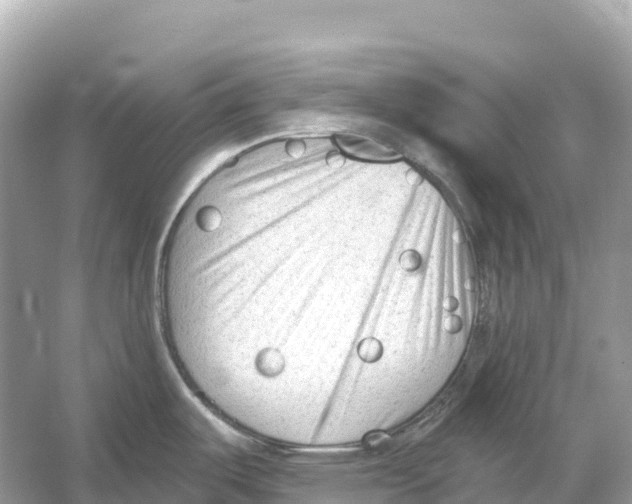 X0000053021487200508051213