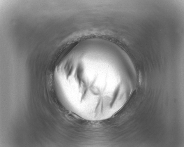 X0000053021492200508051213