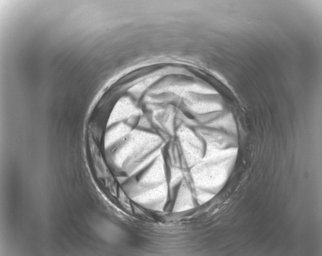 X0000053021508200508051213
