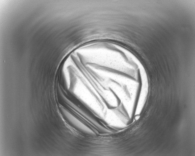 X0000053021513200508051213