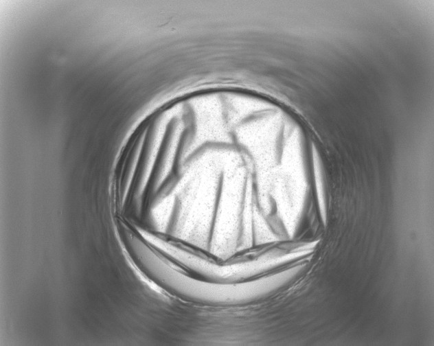 X0000053021519200508051213