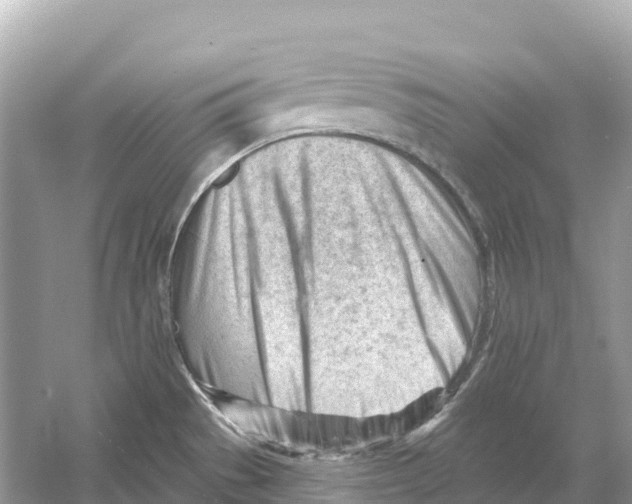 X0000053021529200508051213
