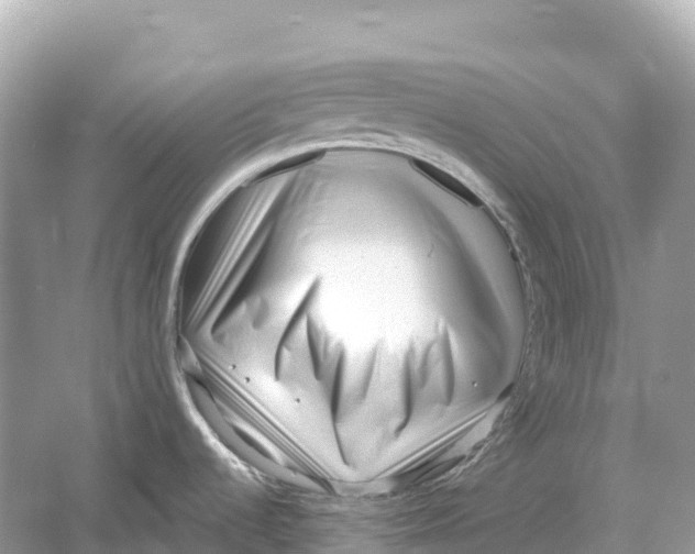 X0000053021536200508051213