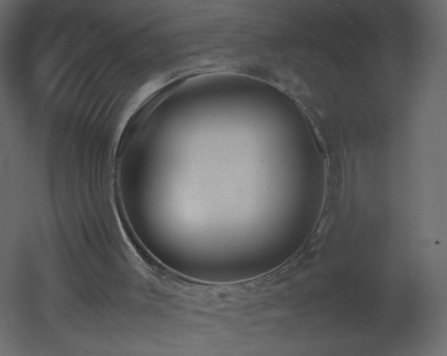 X0000053050003200507111138
