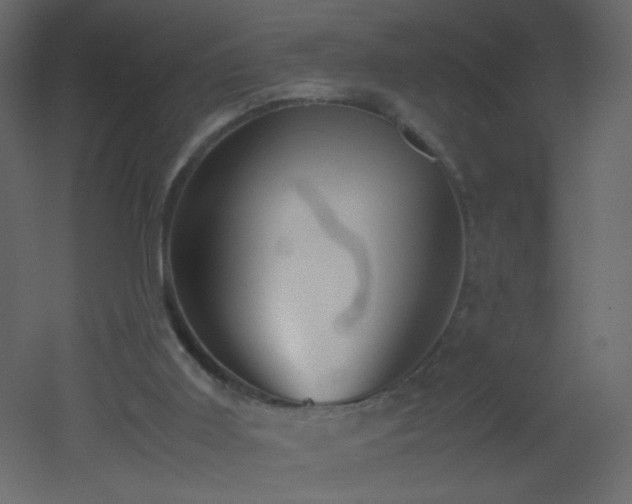 X0000053050011200507111138