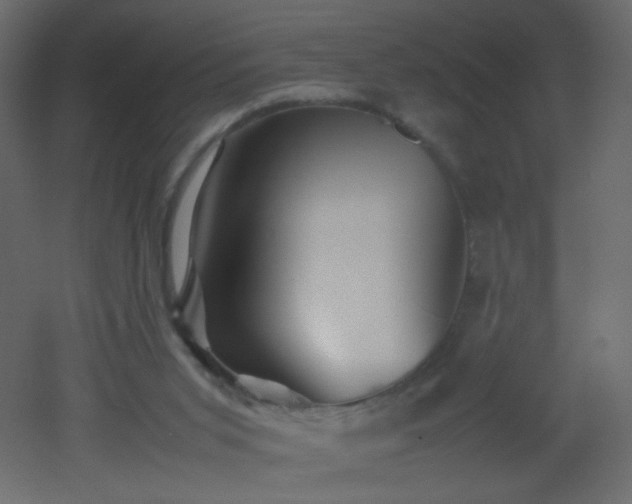 X0000053050015200507111138