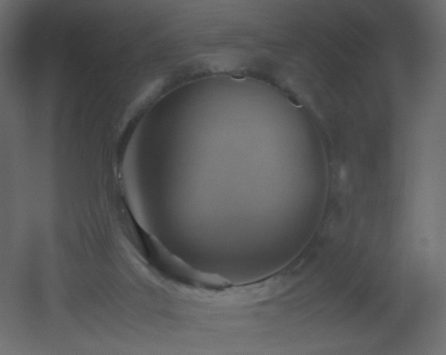 X0000053050019200507111138