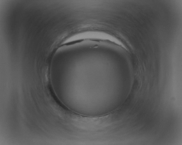 X0000053050023200507111138