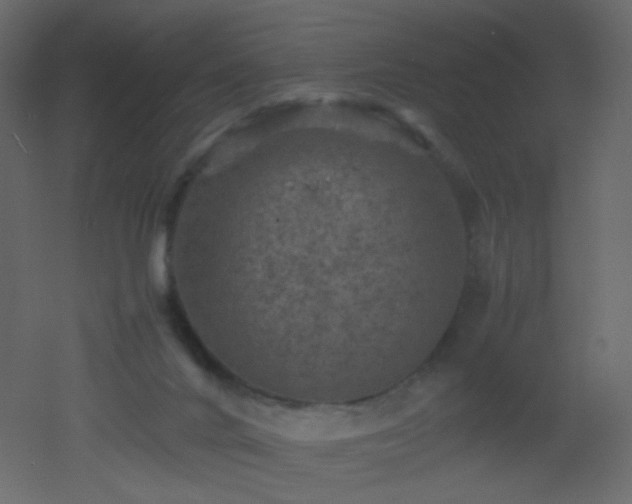 X0000053050024200507111138