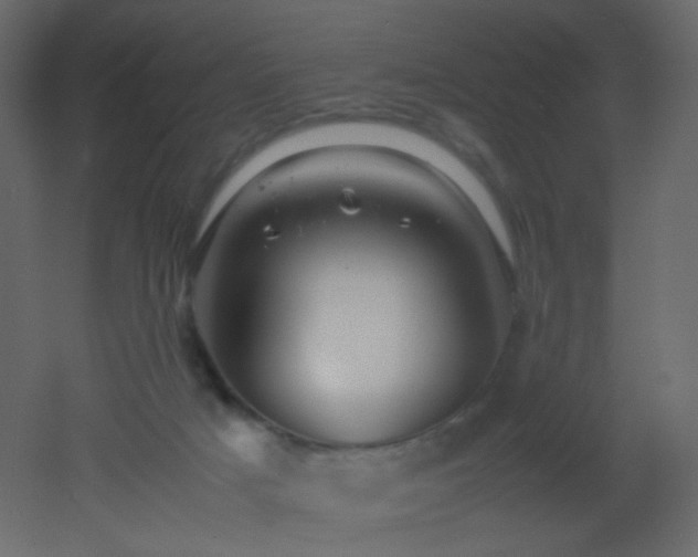 X0000053050025200507111138