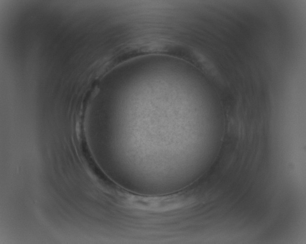 X0000053050026200507111138