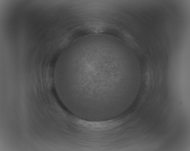X0000053050030200507111138