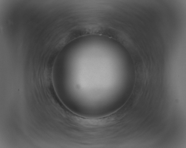 X0000053050034200507111137