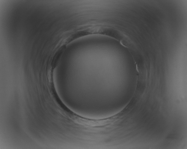 X0000053050035200507111137