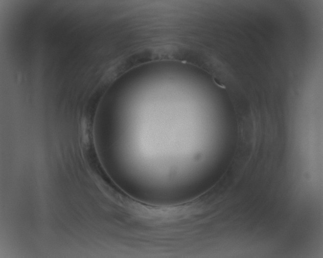 X0000053050038200507111137
