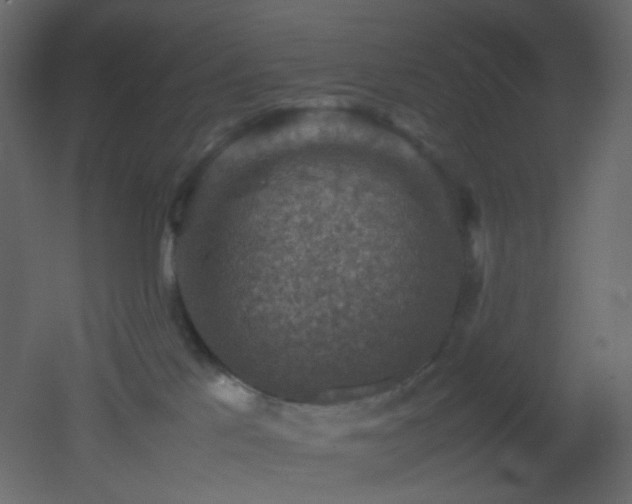 X0000053050041200507111137
