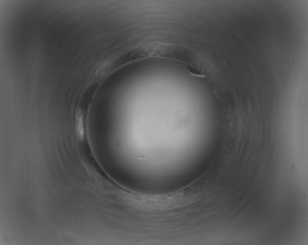 X0000053050042200507111137