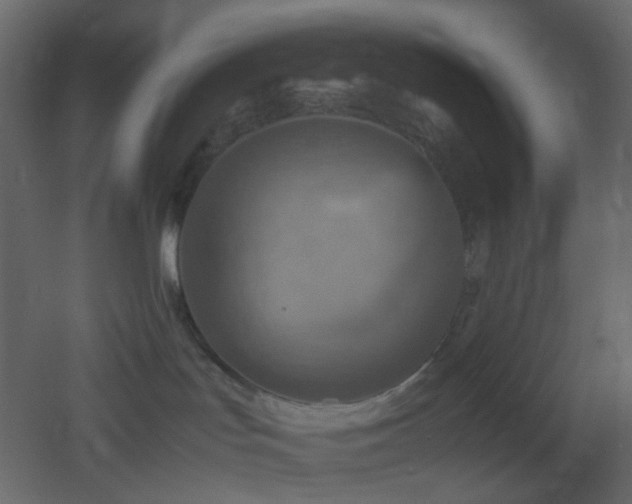X0000053050047200507111137