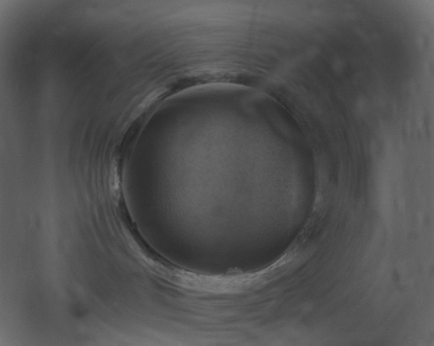 X0000053050048200507111137