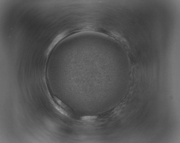 X0000053050051200507111136