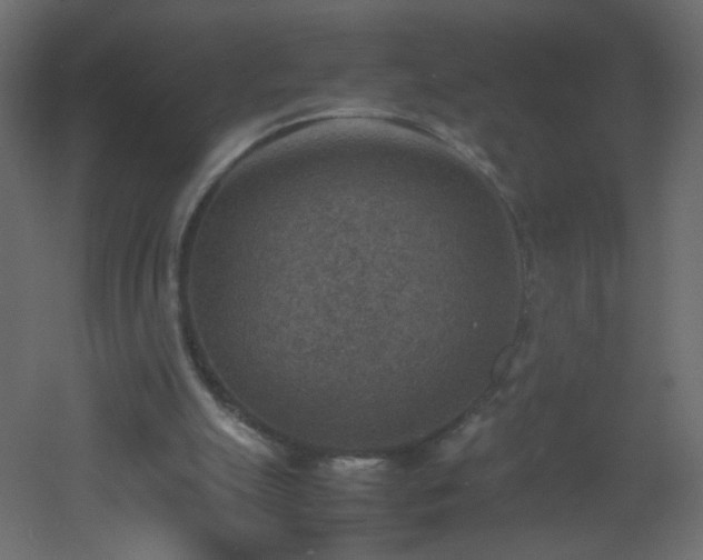 X0000053050055200507111137