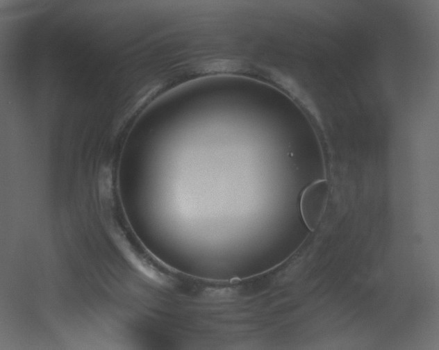 X0000053050057200507111137