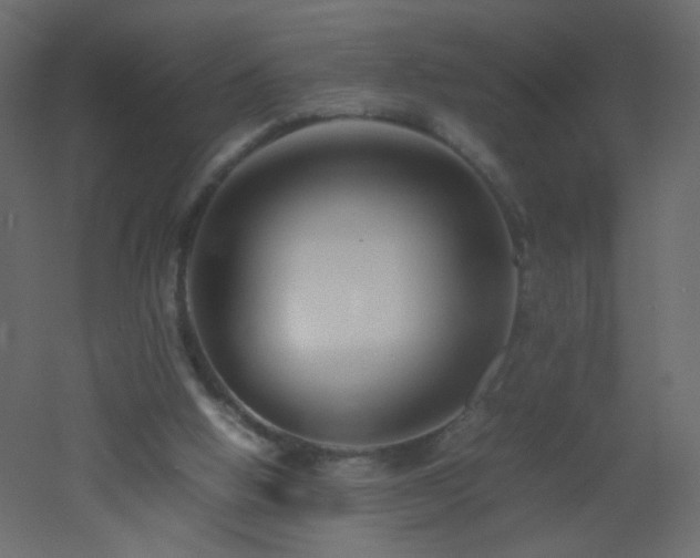 X0000053050058200507111137