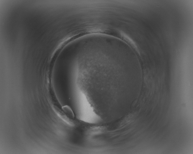 X0000053050059200507111137