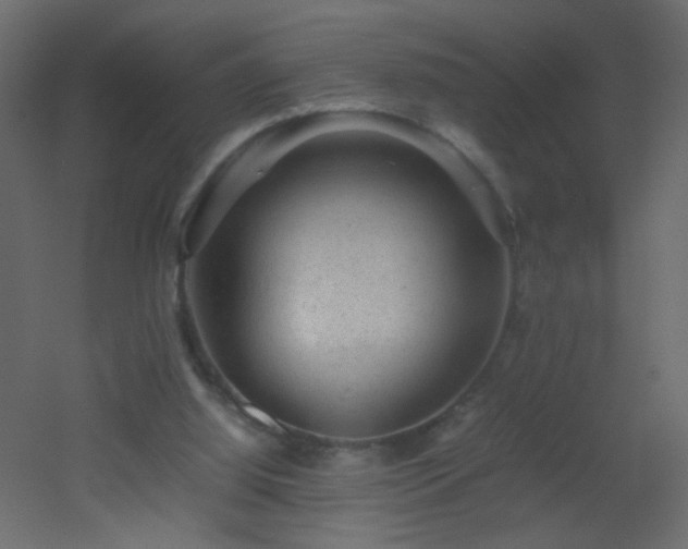 X0000053050060200507111137
