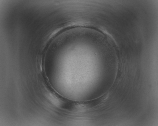 X0000053050062200507111137