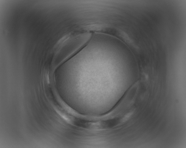 X0000053050068200507111137