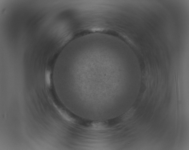 X0000053050070200507111137