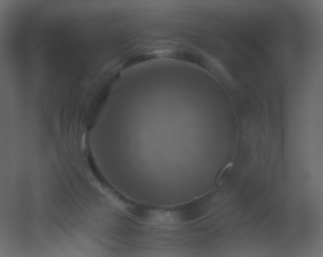 X0000053050073200507111137
