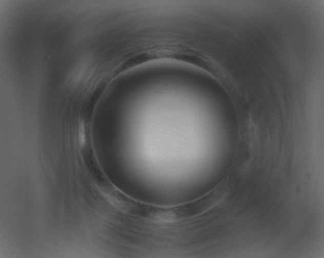 X0000053050075200507111137